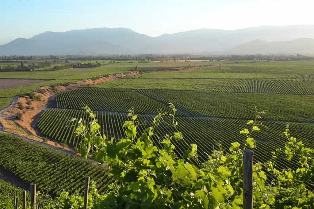 Viña Concha y Toro