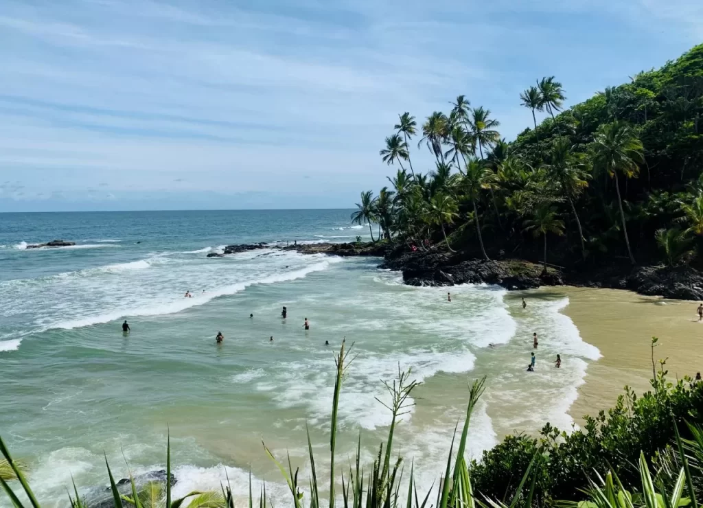 4 Praias + Cachoeira de Tijuipe