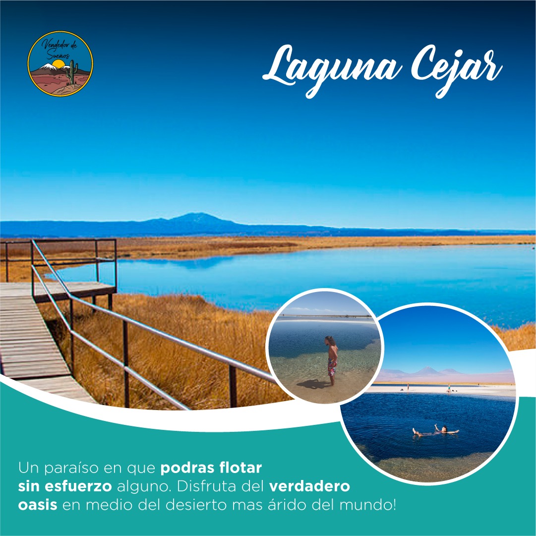 Tour Laguna Cejar