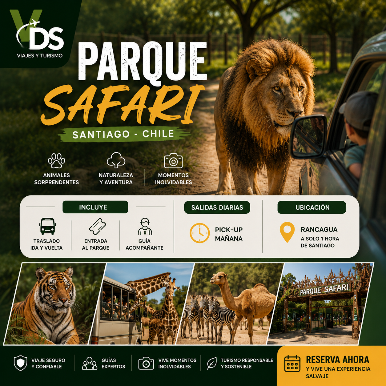 Flyer Parque Safari