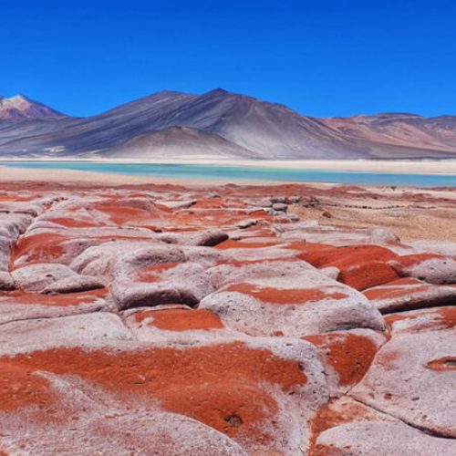 1666792502850-800x450