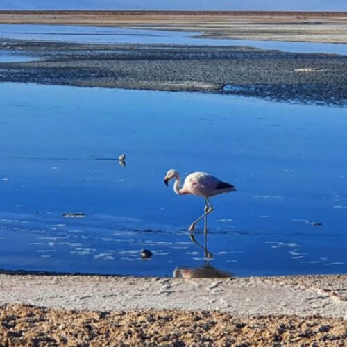 1666792794914-800x450