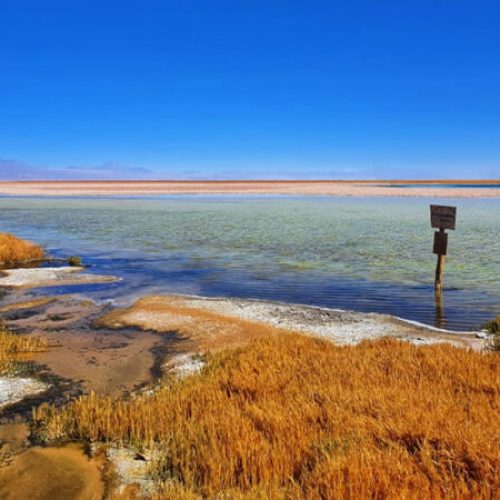 1666907745051-800x450