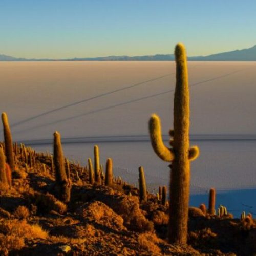 xr:d:DAF9Piy6mVA:21,j:5394607278315421371,t:24030612