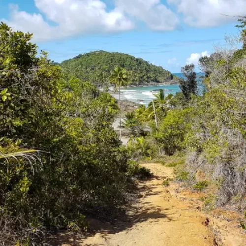 4 Praias + Cachoeira de Tijuipe 4