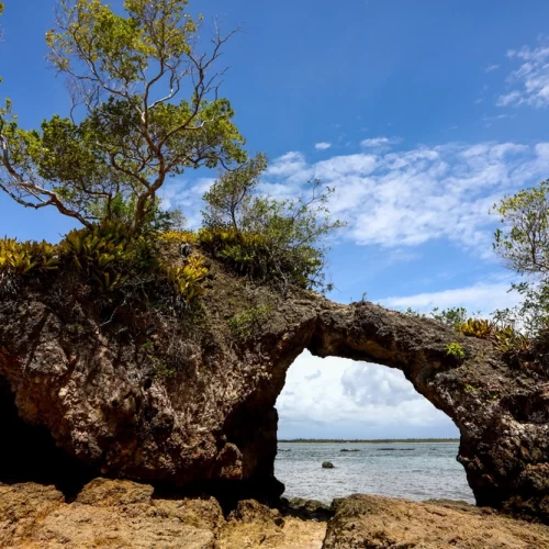 Baía de Camamu & Piscinas Naturales 3