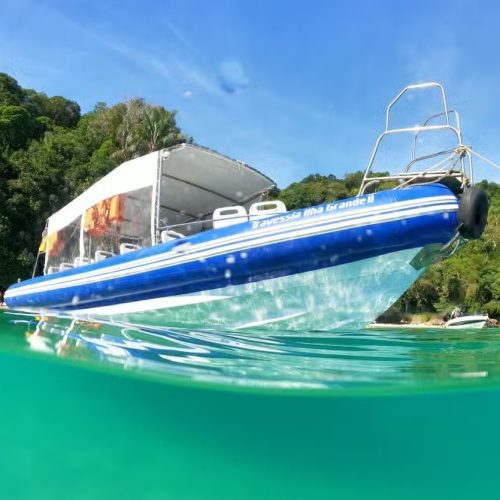 WhatsApp Image 2025-09-02 at 12.24.18 PM