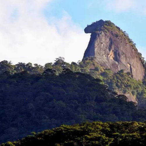 WhatsApp Image 2025-09-02 at 12.43.20 PM