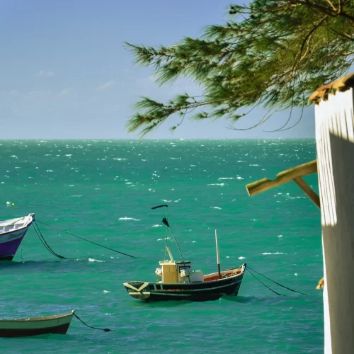 buzios en barco copia