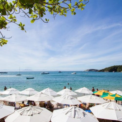 joao-fernandes-800x566